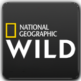 Логотип канала 'Nat Geo Wild HD'